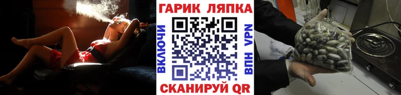 Гашиш гашик  ссылка на мегу зеркало  Новокубанск 