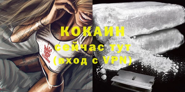 СК Осинники