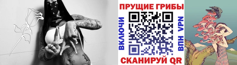 Галлюциногенные грибы MAGIC MUSHROOMS  blacksprut как войти  Новокубанск 