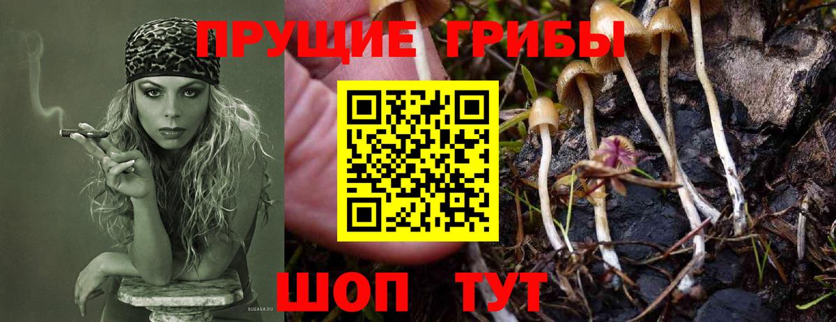 Галлюциногенные грибы Magic Shrooms  Вход с VPN  как найти закладки  Новокубанск 