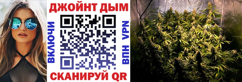 Канабис конопля Новокубанск